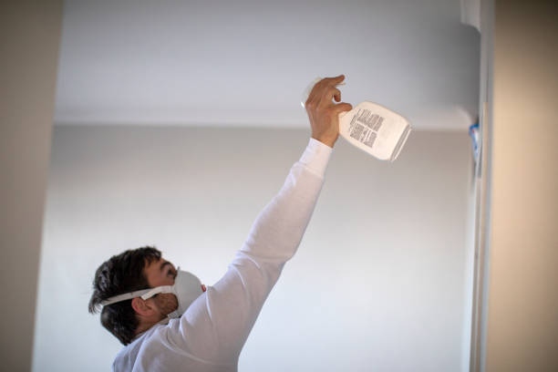 Home Mold Removal in Lagunitas Forest Knolls, CA