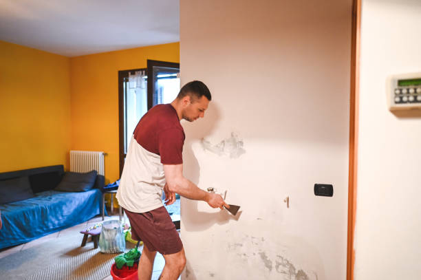 Best Affordable Mold Removal  in Lagunitas Forest Knolls, CA